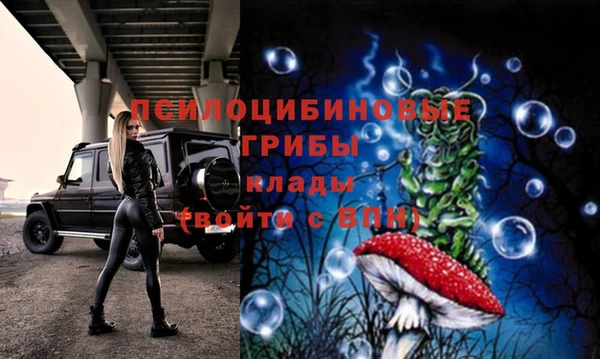 эйфоретик Алзамай