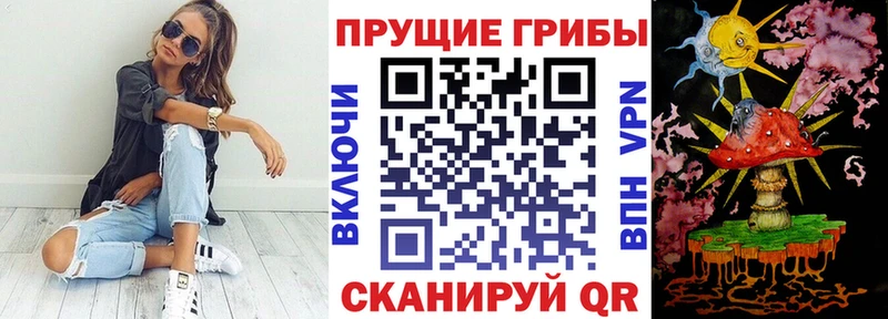 МЕГА маркетплейс  площадка клад  Ак-Довурак  Псилоцибиновые грибы Magic Shrooms  где купить наркоту 